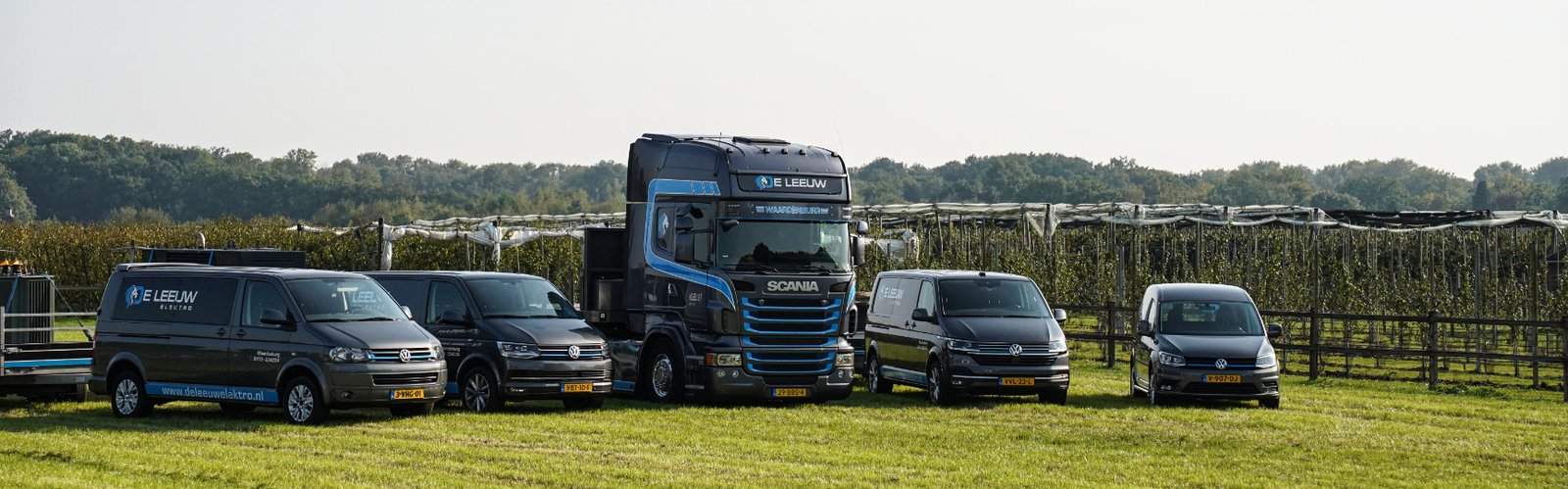 Diensten van De Leeuw Elektro